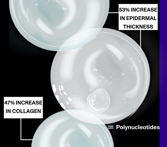 Ameela collagen increase